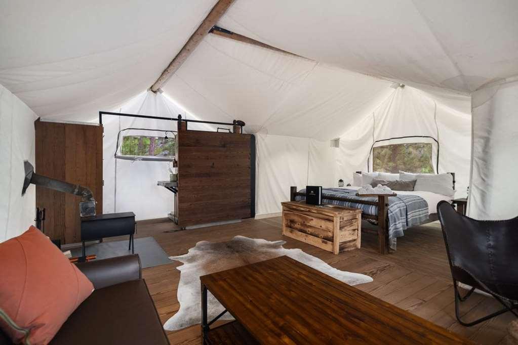 Under Canvas Acadia Surry 객실 사진