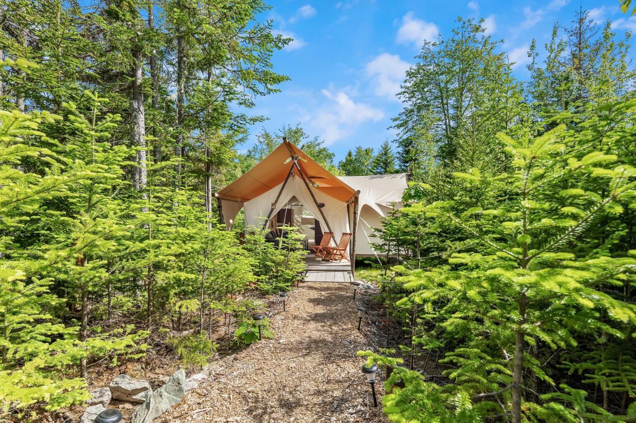 Under Canvas Acadia Surry 외부 사진
